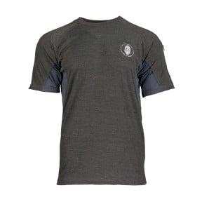Tee shirt Aesir Norse gris - Ragnar Raids