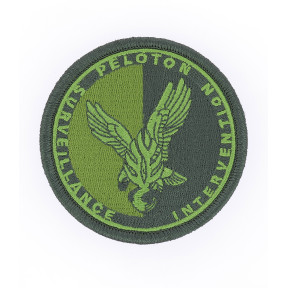 Écusson PSIG Gendarmerie Basse Visi. Vert