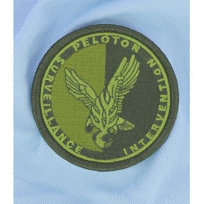 Écusson PSIG Gendarmerie Basse Visi. Vert
