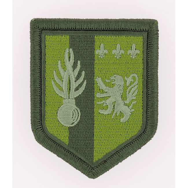 Ecusson 5ème LGM Basse visi. Vert