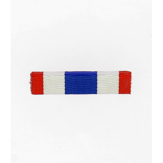 Barrette dixmude Protection Militaire du Territoire