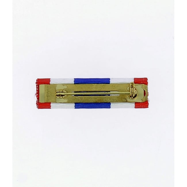 Barrette dixmude Protection Militaire du Territoire