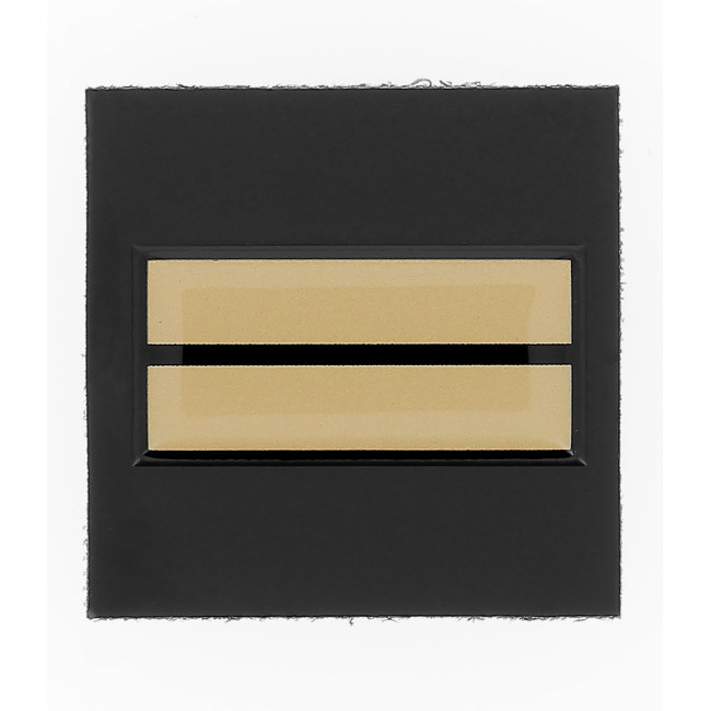 Galon de poitrine résine GM - Lieutenant