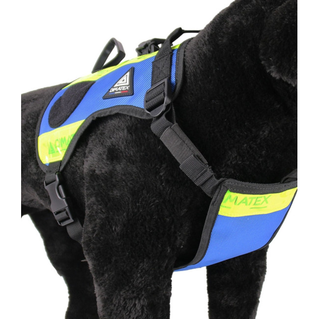 Harnais pour chien Drakken 2 Bleu - Dimatex