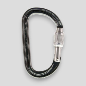 Mosquetão assimétrico leve Am'D com bloqueio Screw-Lock® - Preto - Petzl