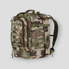 Plecak modułowy 45/60L Camo CE - Ares