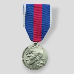 Medaglia di Ordinanza SMV Argento