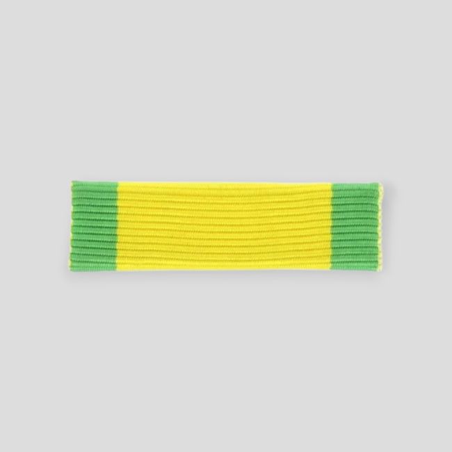 Pasador dixmude medalla militar