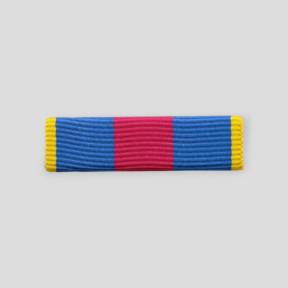 Barrette dixmude zonder MICA RVDSI goud - DMB