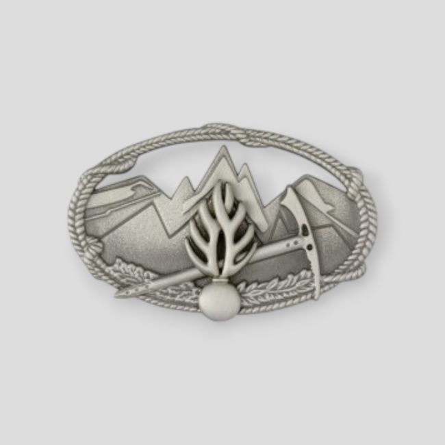 Metalen insigne Technisch Diploma Berg