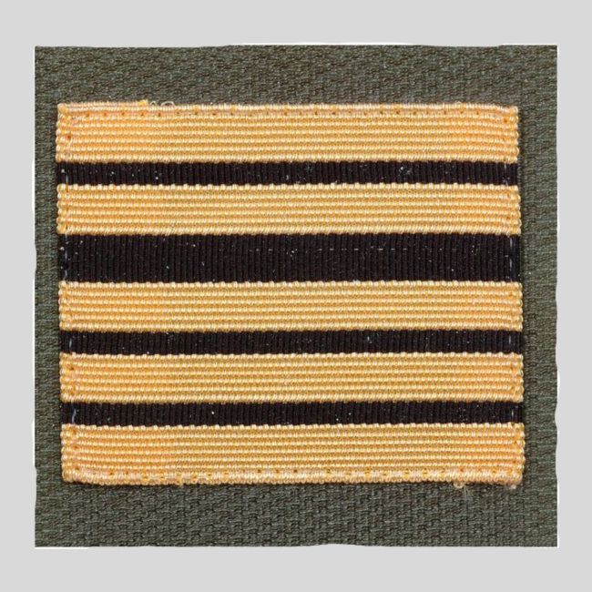 Galón Ejército de Tierra alta visibilidad - Coronel