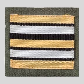 Divisa do Exército de Alta Visibilidade - Tenente-Coronel