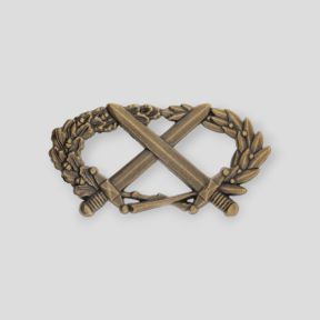 BMP-Abzeichen Bronze - Ares