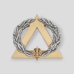 Bronze First Aid Badge - Ares