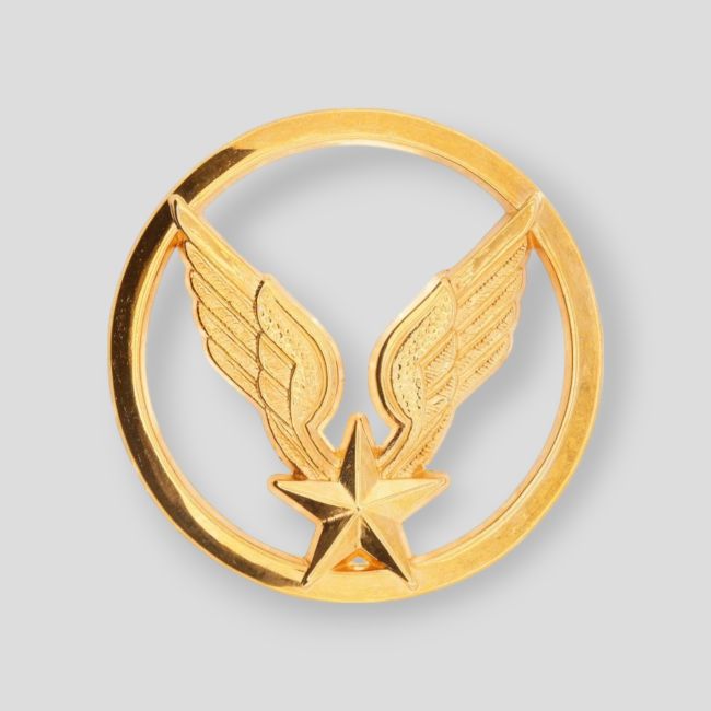 Distintivo de Boina Aviação Ligeira do Exército - Ares