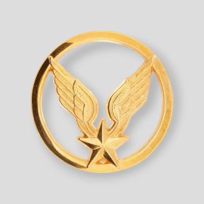 Insignia de Boina de Aviación Ligera del Ejército de Tierra - Ares