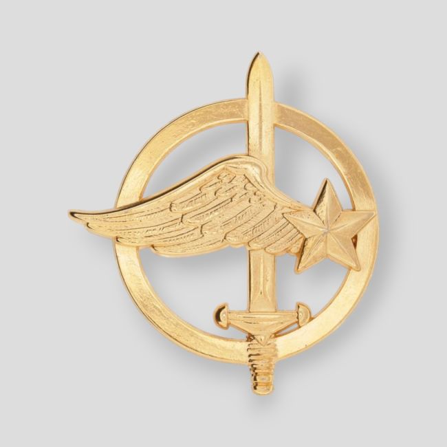 Insignia de Boina Comando del Aire - Ares