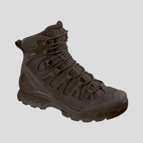 Einsatzschuhe Quest 4D GTX Forces 2 EN - Braun - Salomon