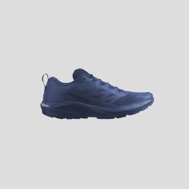 Schoenen Sense Ride 5 SR - Blauw - Salomon
