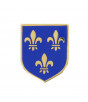 Ecu métal Gendarmerie pour cuirasse - Ile-de-France