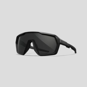 Okulary ochronne balistyczne Citadel (soczewka Captivate™ Szara) - Czarny - Wiley X