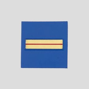 Galon de poitrine Résine avec velcro Police Municipale - Brigadier