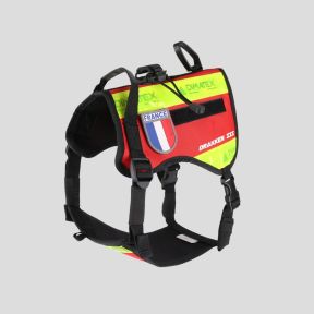 Arnés para perro DRAKKEN III - Rojo - Dimatex