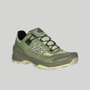 Lage schoenen Black Eagle EVO Adventure GTX - Olijfgroen - Haix