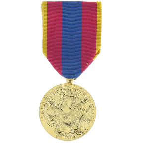Nationale Verteidigungsmedaille Gold