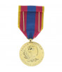 Médaille défense nationale or