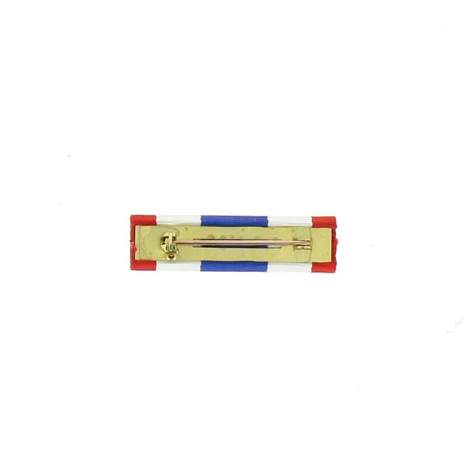 Barrette dixmude Protection Militaire du Territoire