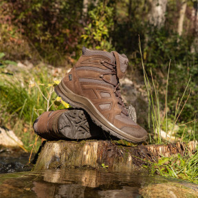 Rangers Black Eagle Athletic 2.0 N GTX Mid braun - Haix