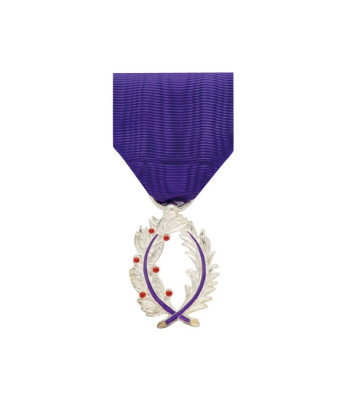 Médaille Ordonnance Chevalier Palmes Académiques