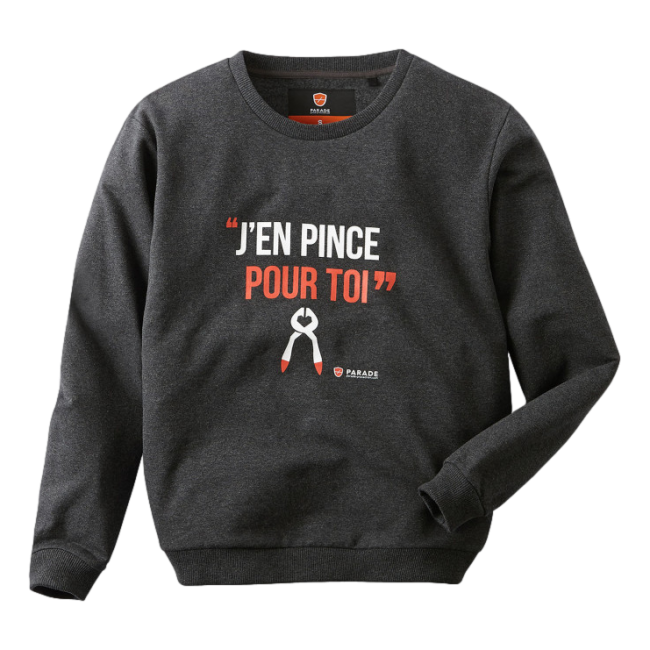 Sweat de travail ISweat Gris anthracite - Parade