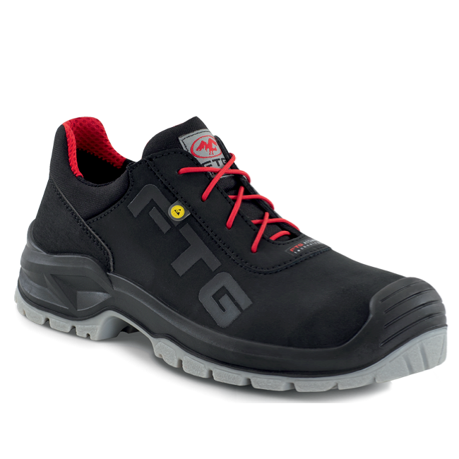SCHOENEN FTG DOUGLAS S3 SRC ESD