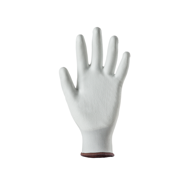 Handschuhe EUROLITE 13P100 Weiß - Coverguard