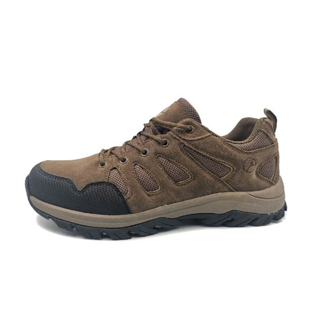 Chaussures Torrato CTX Low Marron - Albatros