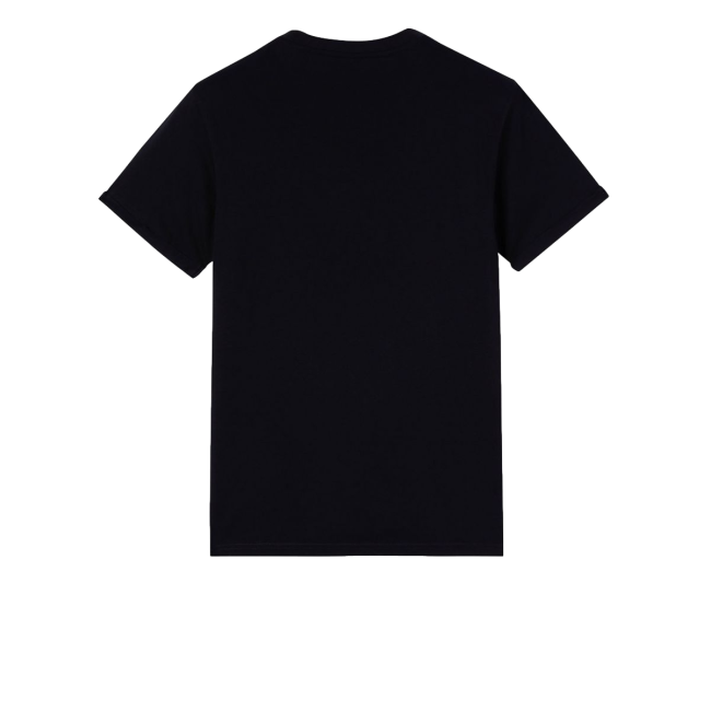 Werk T-shirt Denison zwart - Dickies