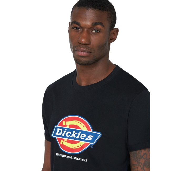 Denison Arbeits-T-Shirt Schwarz - Dickies