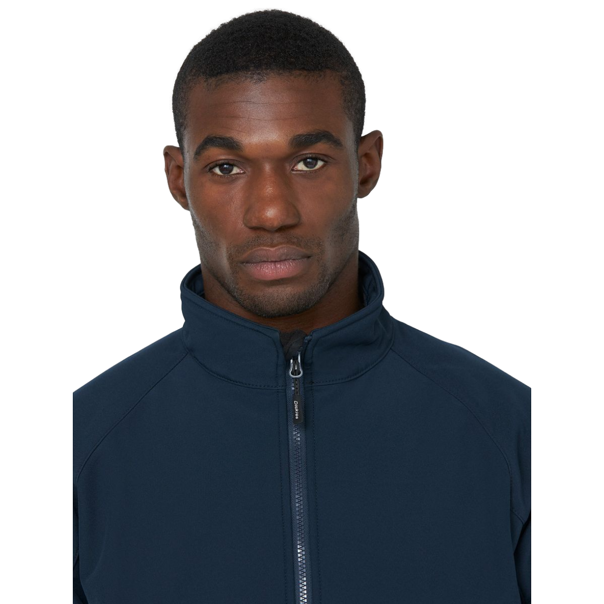 Veste de travail softshell pour homme bleu marine Dickies