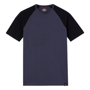 Zweifarbiges T-Shirt Temp-IQ Grau und schwarz - Dickies