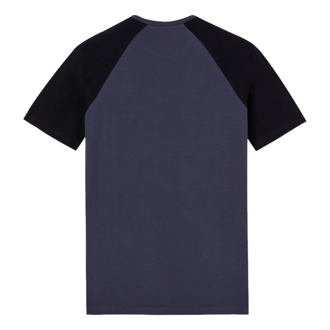 Tee-shirt deux tons Temp-IQ Gris et noir - Dickies