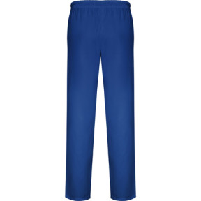 Pantalon de travail Care unisexe à coupe droite bleu royal - Roly