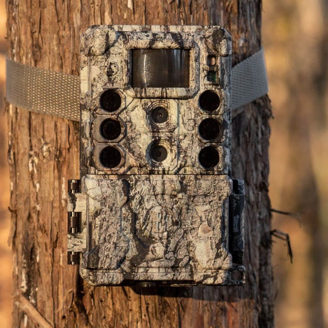 Piège photographique Core DS 4K no glow 32MP - Bushnell
