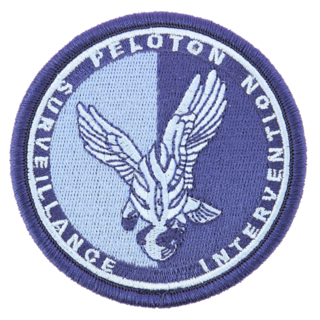 Écusson PSIG Gendarmerie Basse Visi. Bleu