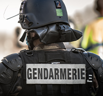Gendarmeria